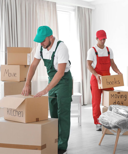 Packing services by LifeVera